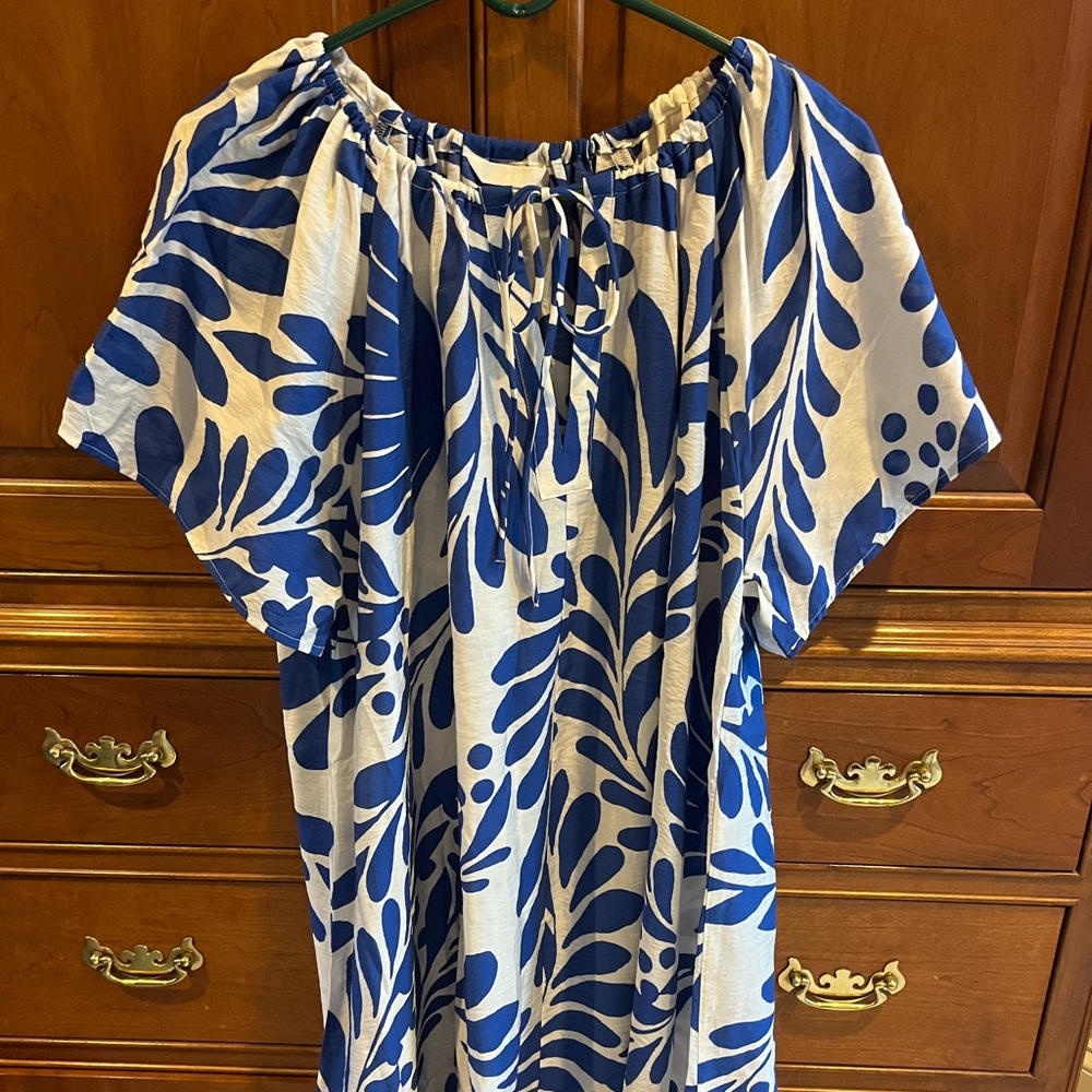 H&M Blue and White Patterned Dress